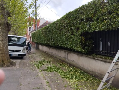 Après élagage Béthune